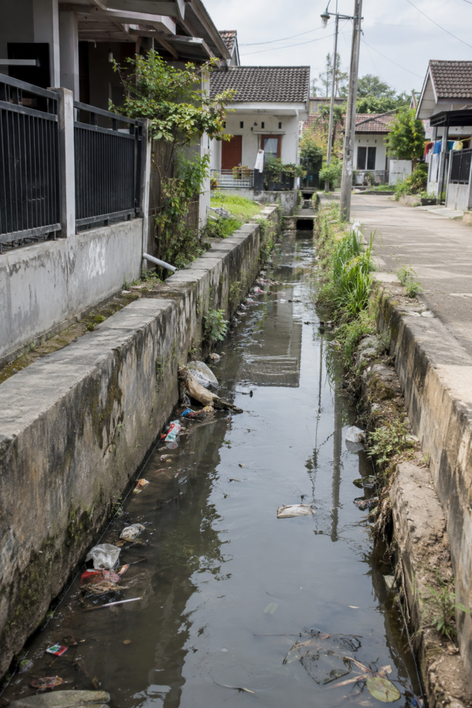 punya rumah tanpa taman punya sungai tanpa air punya hutan tanpa pohon
